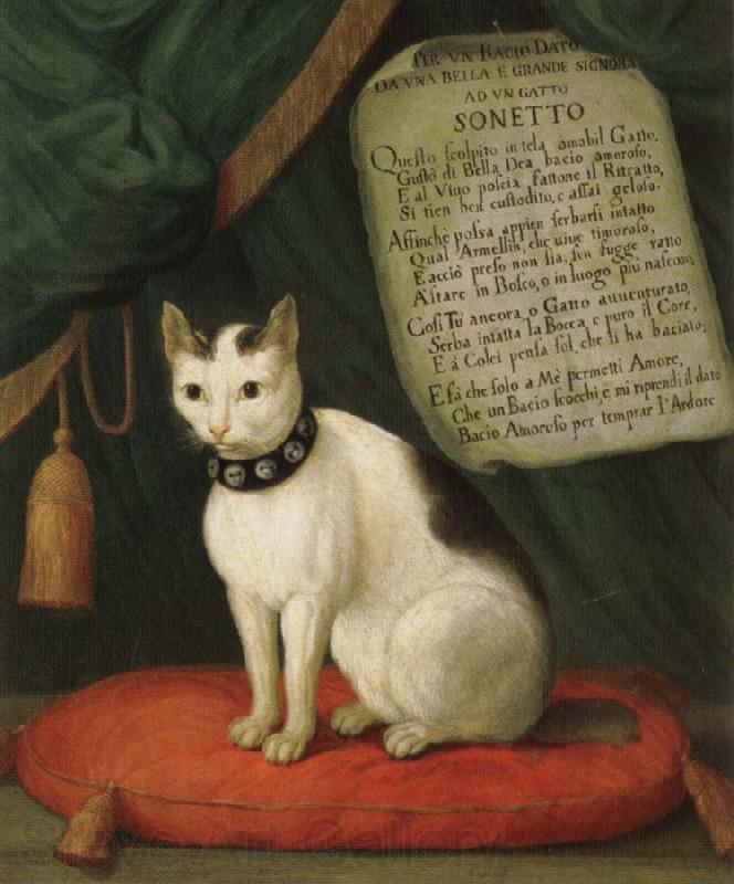 unknow artist Portrait of Armellino the Cat with Sonnet Spain oil painting art